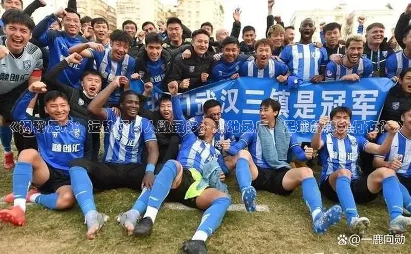 天辰注册官网登录入口慧博云通《揭秘足球：运动项目人数最多，场地最广，足球的魅力何在？》