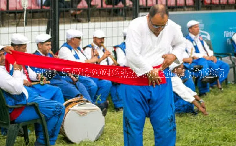 天辰平台代理注册开户百度移动开放平台龙腾虎跃：温州市2023年度龙舟运动赛时间公布