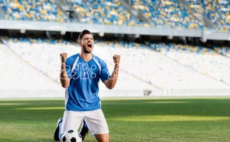 天辰平台测速登录百度翻译襄阳之光：狗狗运动盛宴