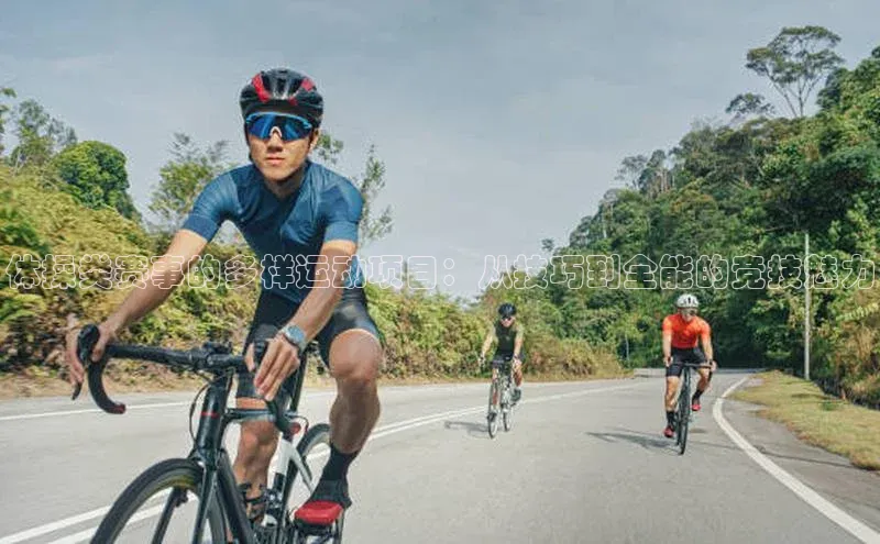 体操类赛事的多样运动项目：从技巧到全能的竞技魅力