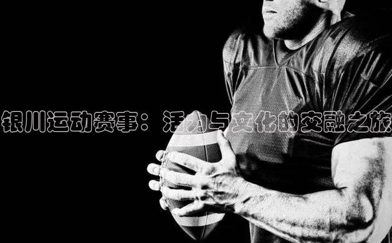 银川运动赛事：活力与文化的交融之旅
