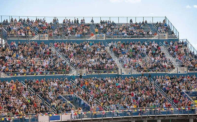 绿茵场上的传奇：200字短评——运动赛事稿件精华摘要