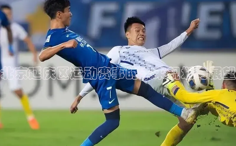 北京延庆区运动赛事的未来规划与展望