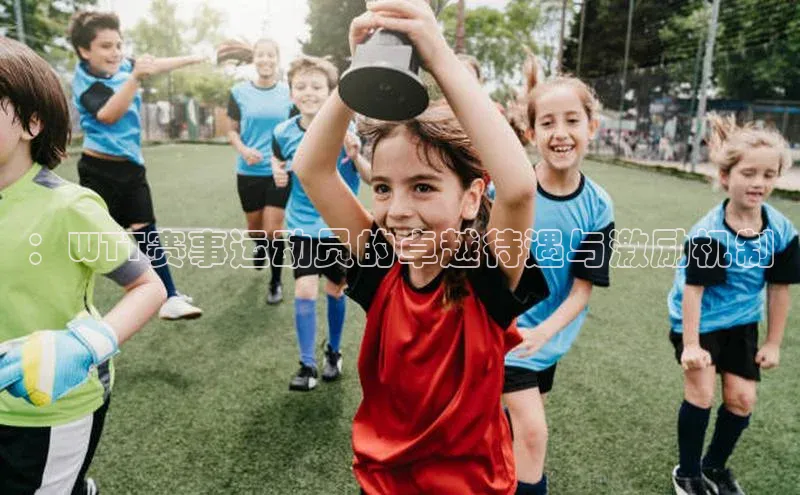 ：WTT赛事运动员的卓越待遇与激励机制