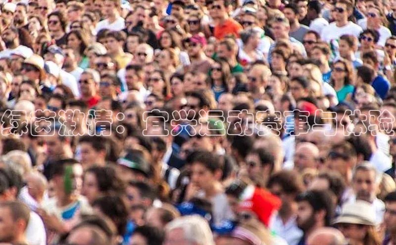 绿茵激情：宜兴运动赛事与体验