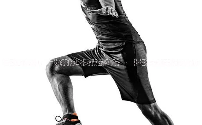 运动的魅力：一场竞技与激情的盛宴——运动会赛事精彩解说