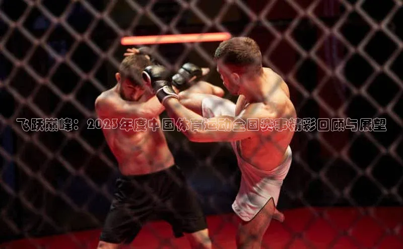 飞跃巅峰：2023年度中国体育运动全国赛事精彩回顾与展望