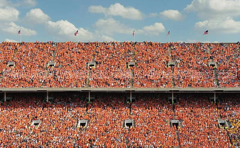 防范与应对：探讨运动会体育赛事中的安全与风险管理策略