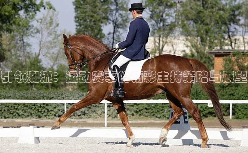引领潮流：运动赛事的精彩主持策略与展望