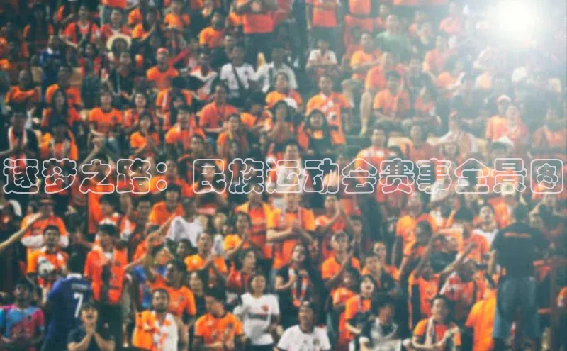 逐梦之路：民族运动会赛事全景图