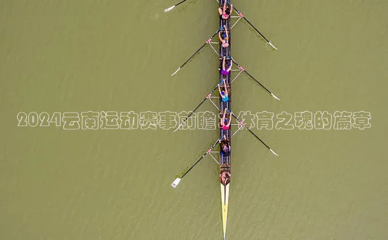 2024云南运动赛事前瞻：体育之魂的篇章