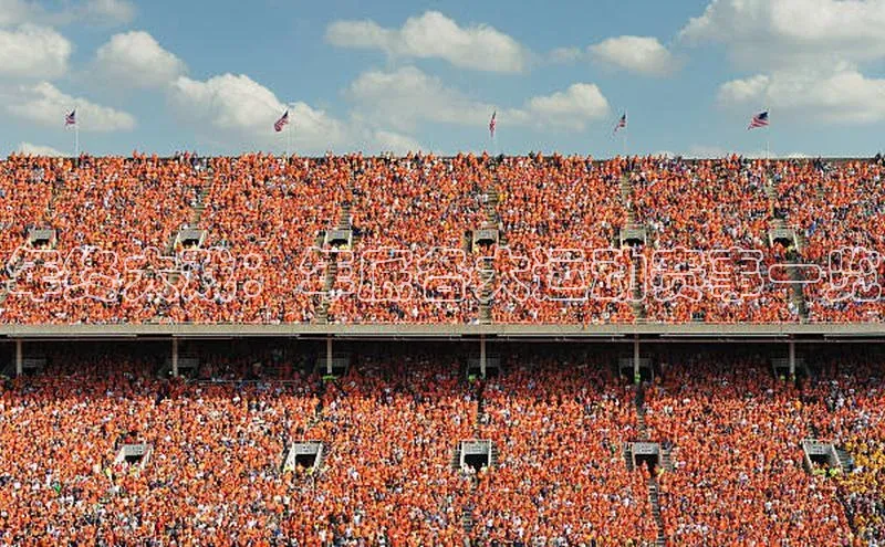 年终大戏：年底各大运动赛事一览